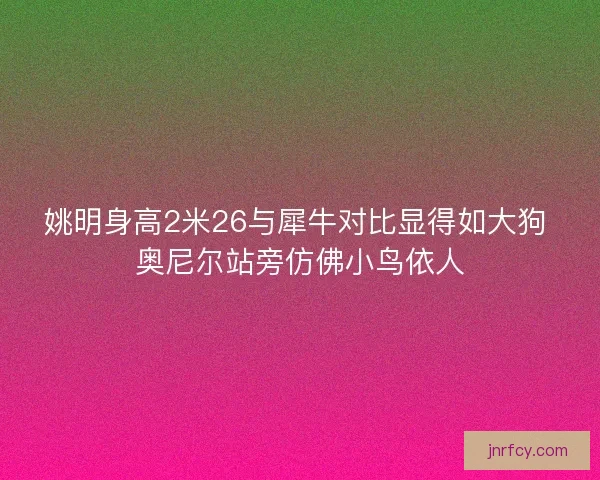 姚明身高2米26与犀牛对比显得如大狗 奥尼尔站旁仿佛小鸟依人